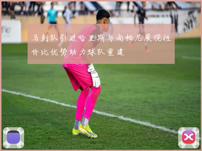 马刺队引进哈里斯与尚帕尼展现性价比优势助力球队重建