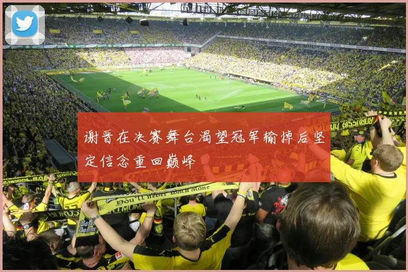 谢晋在决赛舞台渴望冠军输掉后坚定信念重回巅峰